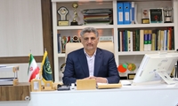 آغاز برداشت خرمای زودرس المهتری و نگار از نخلستان‌های جنوب کرمان